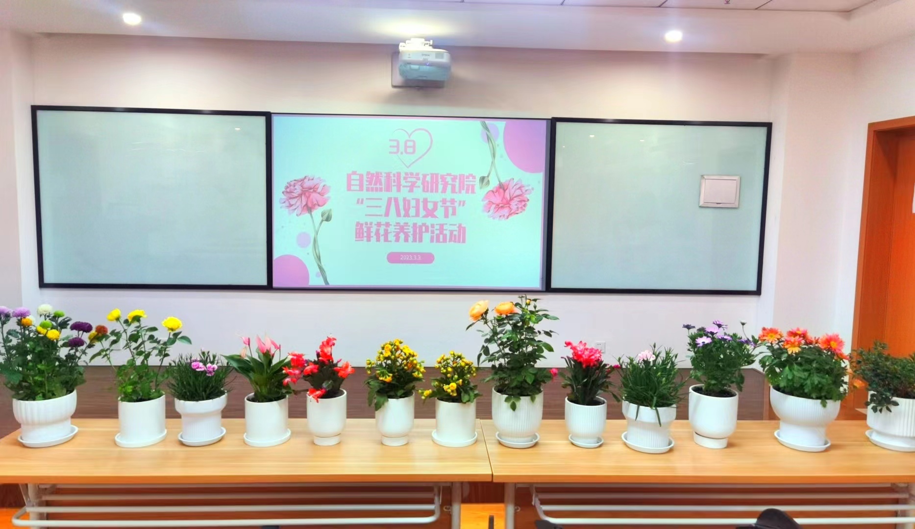 1677832096-2023三八节鲜花养护活动背景.jpg