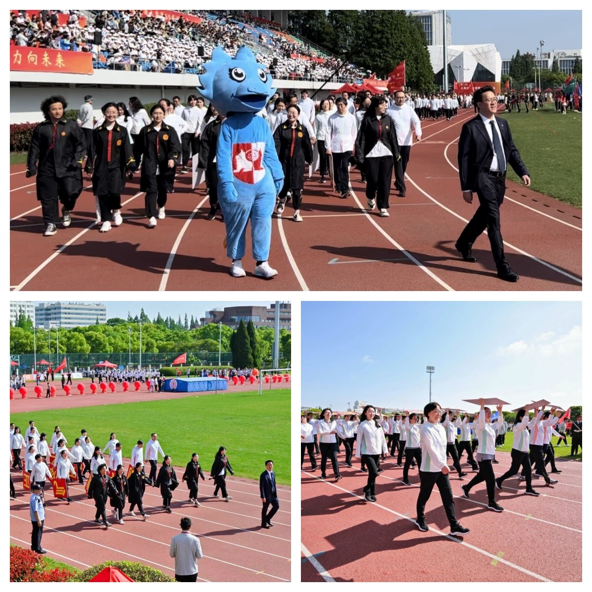 1716185993-合集1.jpg