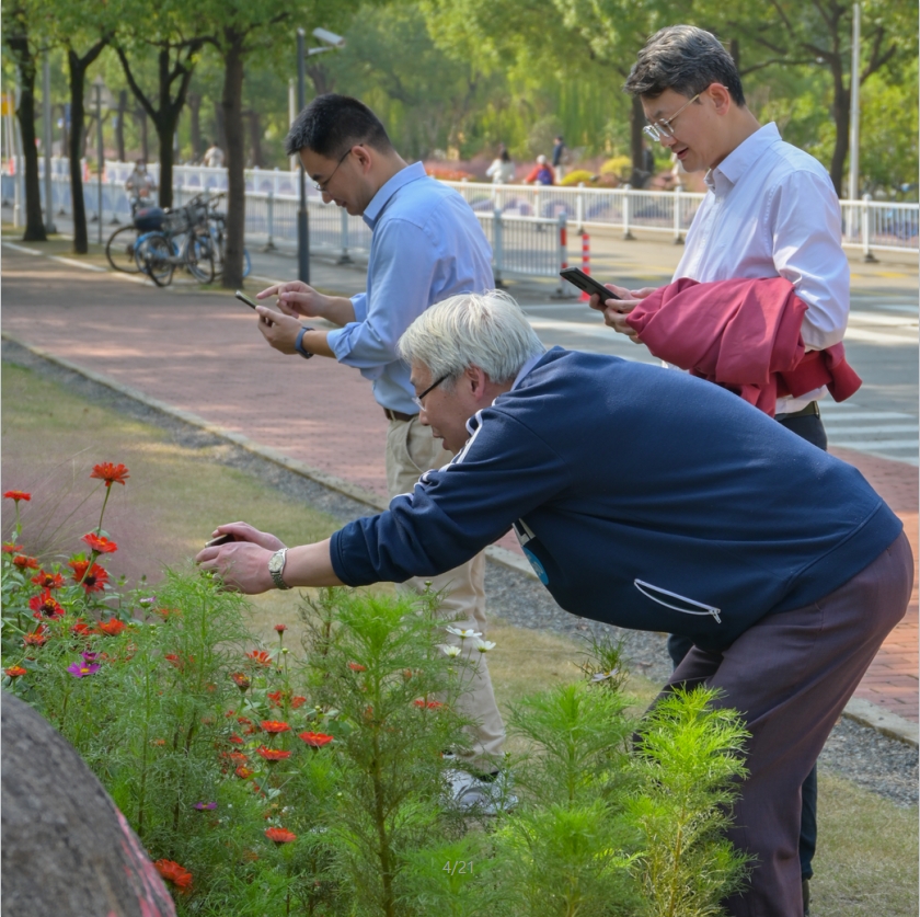 1731481800-微信截图_20241113150528.png