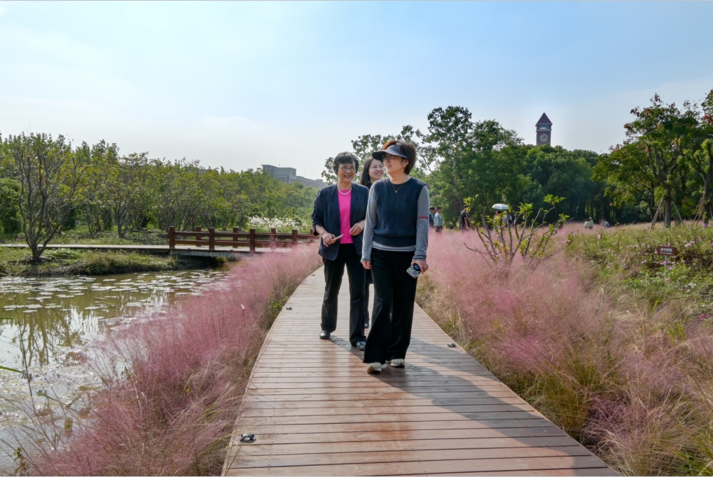 1731481903-微信截图_20241113150804.png