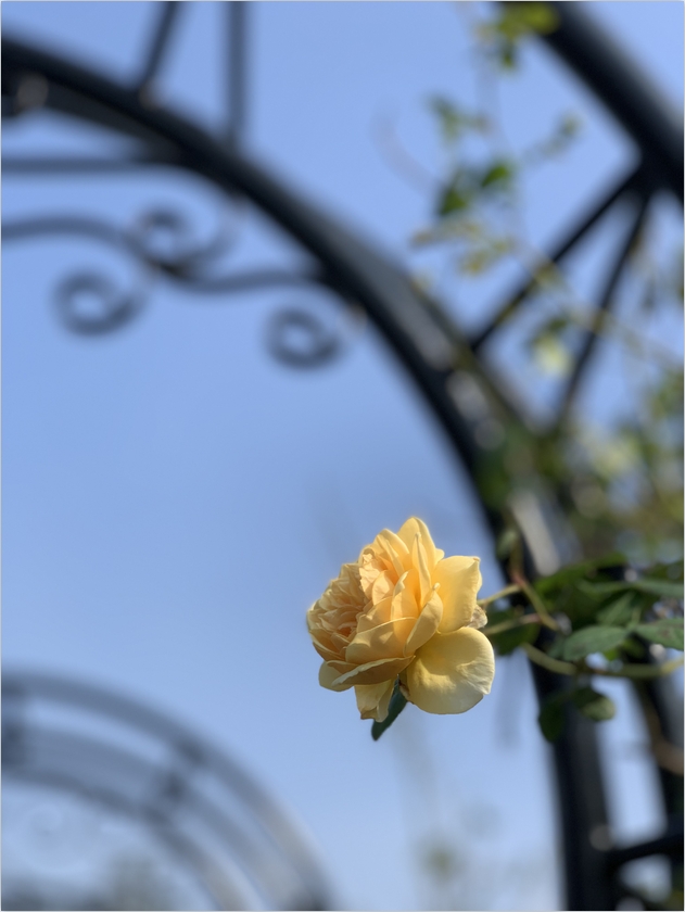 1731482515-微信截图_20241113151729.png