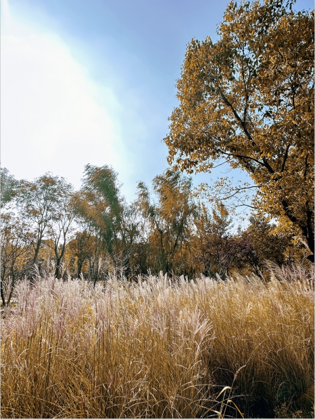 1731483886-微信截图_20241113154335.png