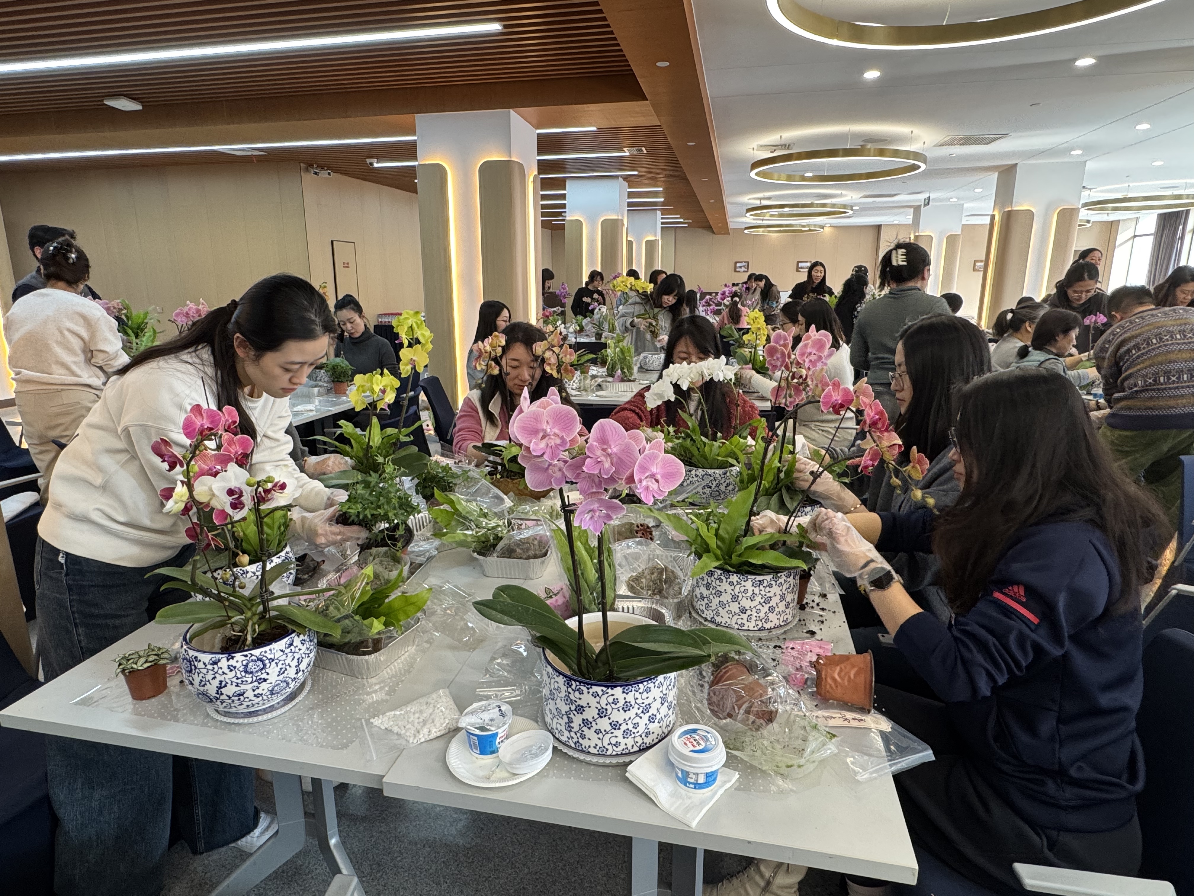 1734420406-微信图片_20241217144413.jpg