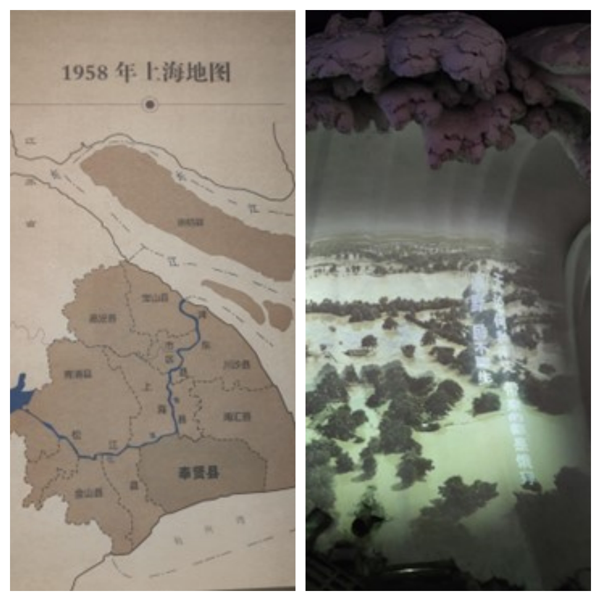 1742280486-博物馆6.jpg